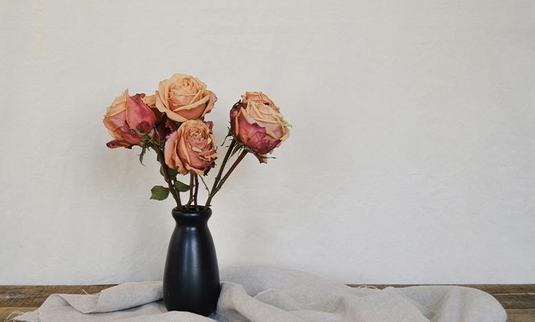 نگهداری گل رز در خانه